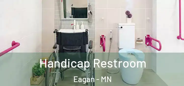 Handicap Restroom Eagan - MN