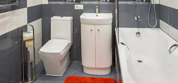 Hansgrohe Shaving Mirror Eagan